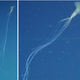 This is the third bigfin to be spotted during the survey. The image on the left provides a good sense of how far their filaments can extend.